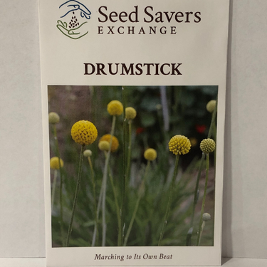 Drumstick Flower